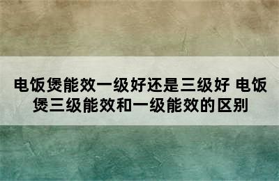 电饭煲能效一级好还是三级好 电饭煲三级能效和一级能效的区别